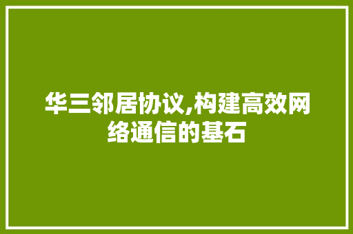华三邻居协议,构建高效网络通信的基石