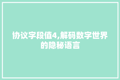 协议字段值4,解码数字世界的隐秘语言