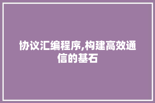 协议汇编程序,构建高效通信的基石