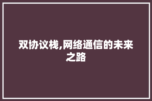 双协议栈,网络通信的未来之路