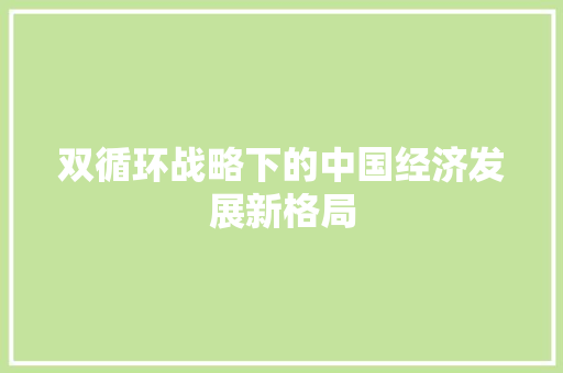 双循环战略下的中国经济发展新格局