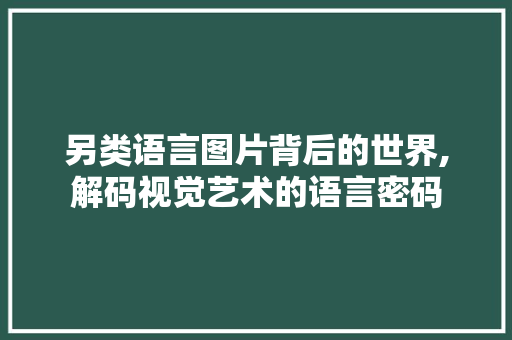 另类语言图片背后的世界,解码视觉艺术的语言密码