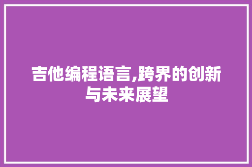 吉他编程语言,跨界的创新与未来展望