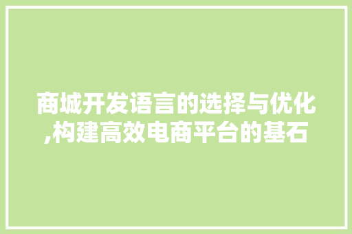 商城开发语言的选择与优化,构建高效电商平台的基石