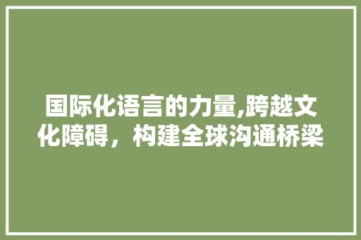 国际化语言的力量,跨越文化障碍，构建全球沟通桥梁
