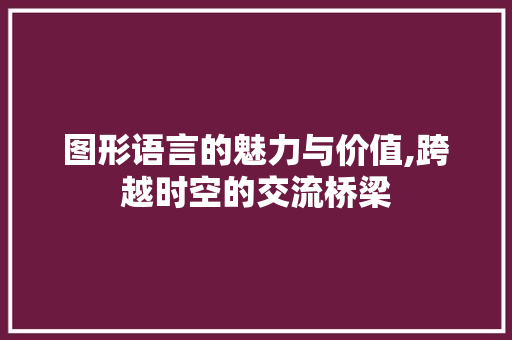 图形语言的魅力与价值,跨越时空的交流桥梁