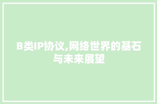 B类IP协议,网络世界的基石与未来展望