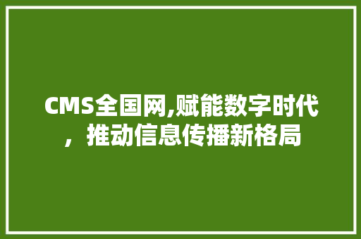 CMS全国网,赋能数字时代，推动信息传播新格局