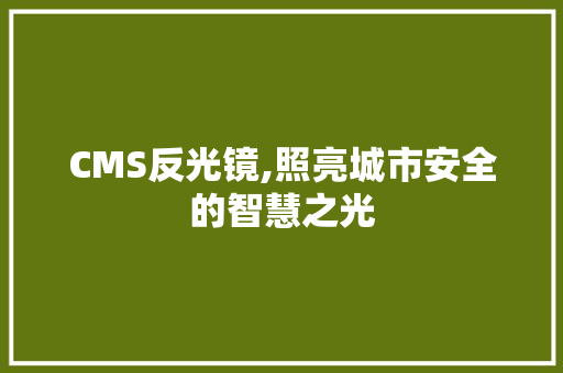 CMS反光镜,照亮城市安全的智慧之光