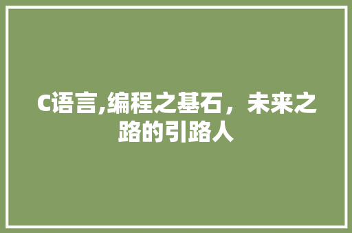 C语言,编程之基石，未来之路的引路人