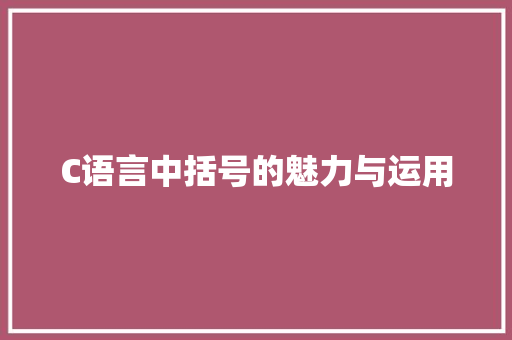 C语言中括号的魅力与运用