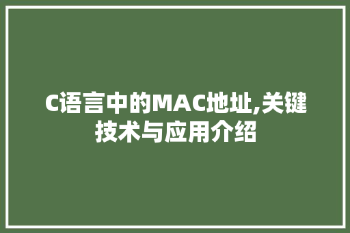 C语言中的MAC地址,关键技术与应用介绍