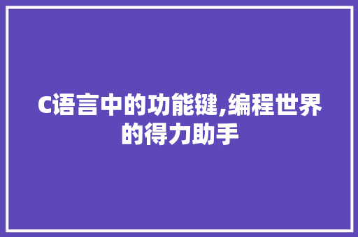 C语言中的功能键,编程世界的得力助手