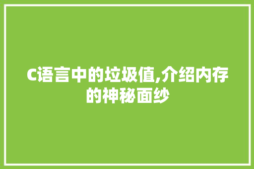 C语言中的垃圾值,介绍内存的神秘面纱