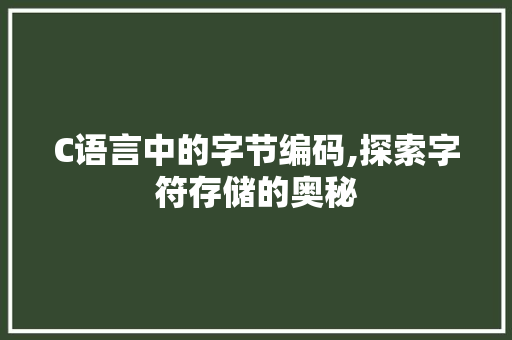 C语言中的字节编码,探索字符存储的奥秘