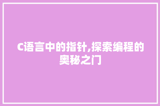 C语言中的指针,探索编程的奥秘之门