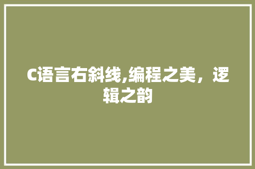 C语言右斜线,编程之美，逻辑之韵