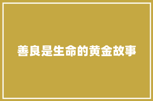 C语言大题库,编程之路上的得力助手 土壤施肥