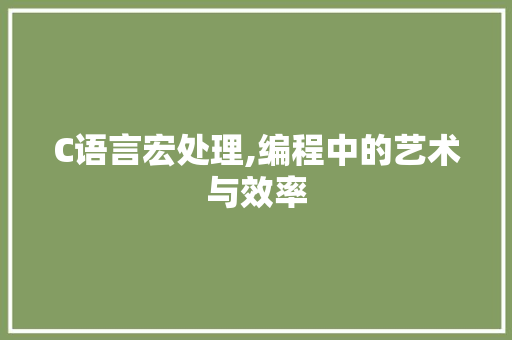 C语言宏处理,编程中的艺术与效率