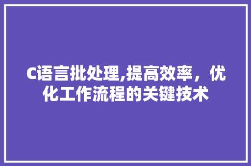 C语言批处理,提高效率，优化工作流程的关键技术