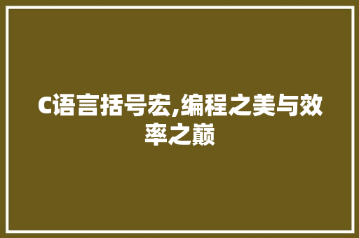 C语言括号宏,编程之美与效率之巅