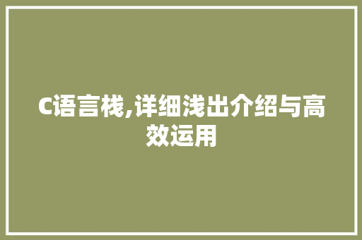 C语言栈,详细浅出介绍与高效运用