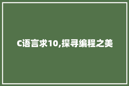 C语言求10,探寻编程之美