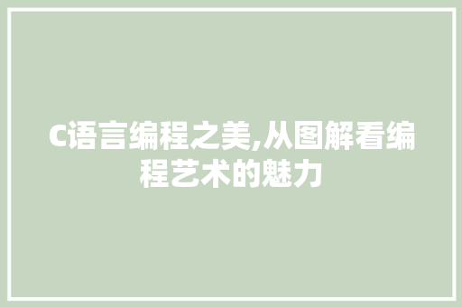 C语言编程之美,从图解看编程艺术的魅力