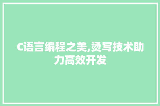 C语言编程之美,烫写技术助力高效开发