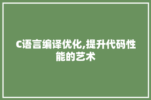 C语言编译优化,提升代码性能的艺术