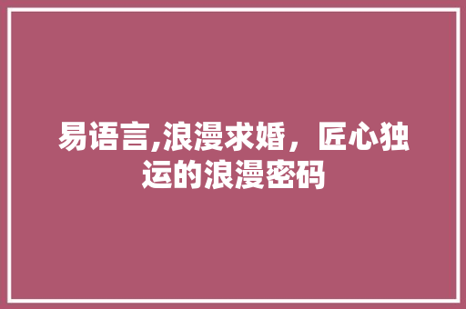 易语言,浪漫求婚，匠心独运的浪漫密码