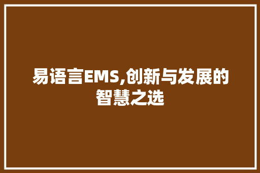 易语言EMS,创新与发展的智慧之选