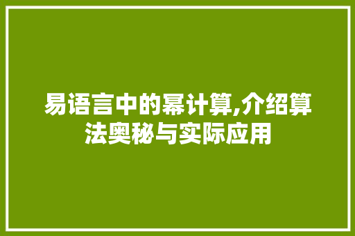 易语言中的幂计算,介绍算法奥秘与实际应用