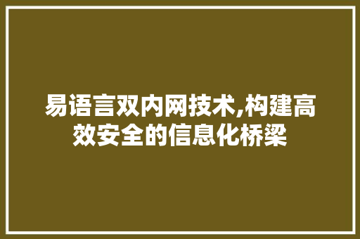 易语言双内网技术,构建高效安全的信息化桥梁