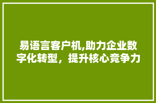 易语言客户机,助力企业数字化转型，提升核心竞争力