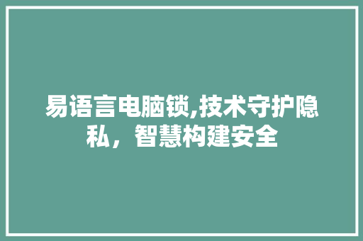 易语言电脑锁,技术守护隐私，智慧构建安全