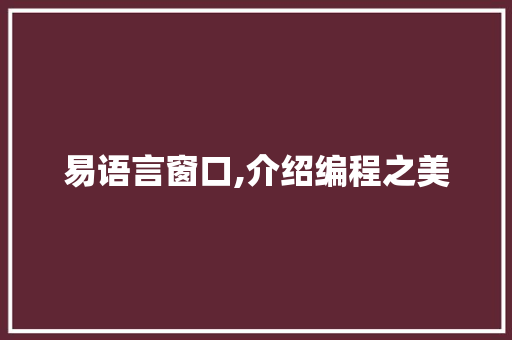易语言窗口,介绍编程之美
