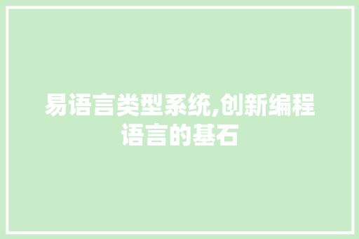 易语言类型系统,创新编程语言的基石