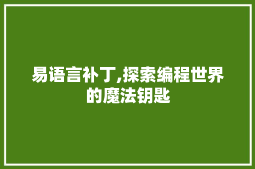 易语言补丁,探索编程世界的魔法钥匙