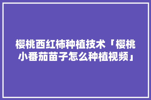 樱桃西红柿种植技术「樱桃小番茄苗子怎么种植视频」 樱桃西红柿种植技术「樱桃小番茄苗子怎么种植视频」 花朵知识