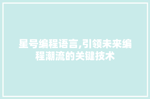 星号编程语言,引领未来编程潮流的关键技术
