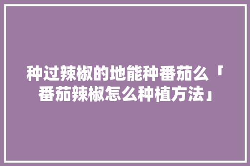 种过辣椒的地能种番茄么「番茄辣椒怎么种植方法」 种过辣椒的地能种番茄么「番茄辣椒怎么种植方法」 植物种类