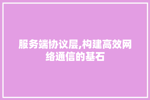 服务端协议层,构建高效网络通信的基石