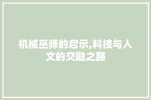 机械巫师的启示,科技与人文的交融之路