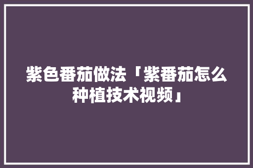 紫色番茄做法「紫番茄怎么种植技术视频」