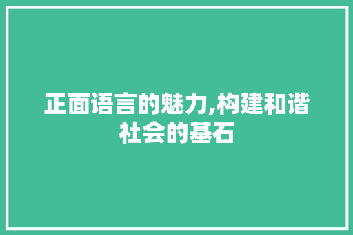 正面语言的魅力,构建和谐社会的基石
