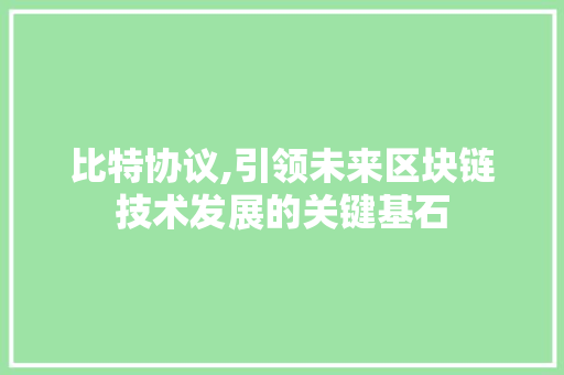 比特协议,引领未来区块链技术发展的关键基石