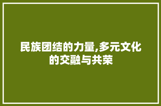 民族团结的力量,多元文化的交融与共荣