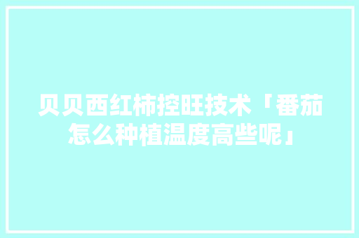 贝贝西红柿控旺技术「番茄怎么种植温度高些呢」 贝贝西红柿控旺技术「番茄怎么种植温度高些呢」 番茄种植技巧