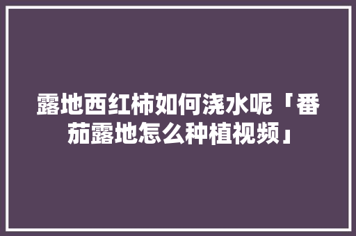 露地西红柿如何浇水呢「番茄露地怎么种植视频」 露地西红柿如何浇水呢「番茄露地怎么种植视频」 植物种类